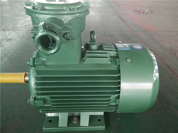 什么是粉塵防爆電機(jī)