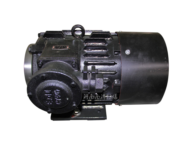 防爆新能源汽車(chē)電機(jī)