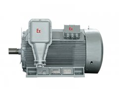 YBX3高壓防爆電機(jī)