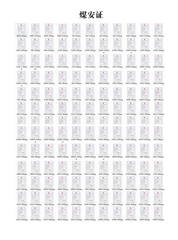 南洋防爆煤安證合集