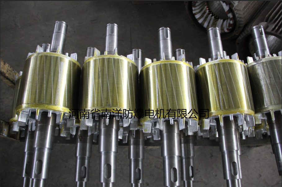 防爆電機(jī)轉(zhuǎn)軸