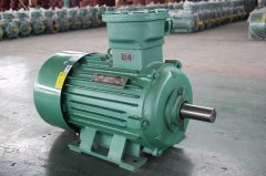 粉塵環(huán)境應(yīng)該如何選擇粉塵防爆電機型號？