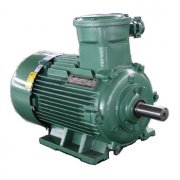 YBX3防爆電機(jī)常見(jiàn)故障及原因