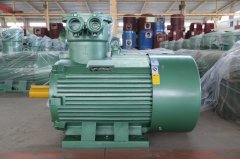 氣體防爆電機ExdIIBT4Gb的是什么意思？