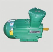 粉塵防爆電機Ex tD B21 IP65 T135℃是什么意思